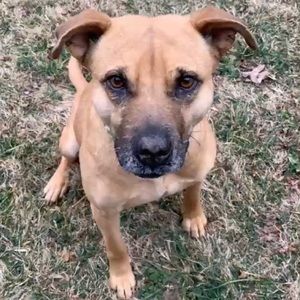 Meet your Posher, Katelynn